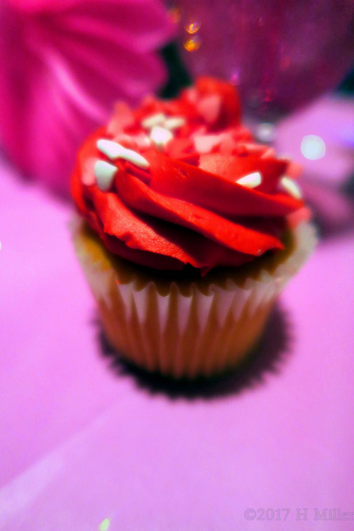 Extra Special Spa Cupcakes! Extra Special Spa Cupcakes!