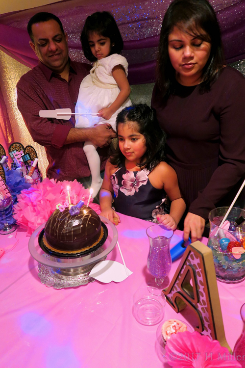 The Birthday Girl Gets Ready To Blow Out The Candles On Her Cake. The Birthday Girl Gets Ready To Blow Out The Candles On Her Cake.