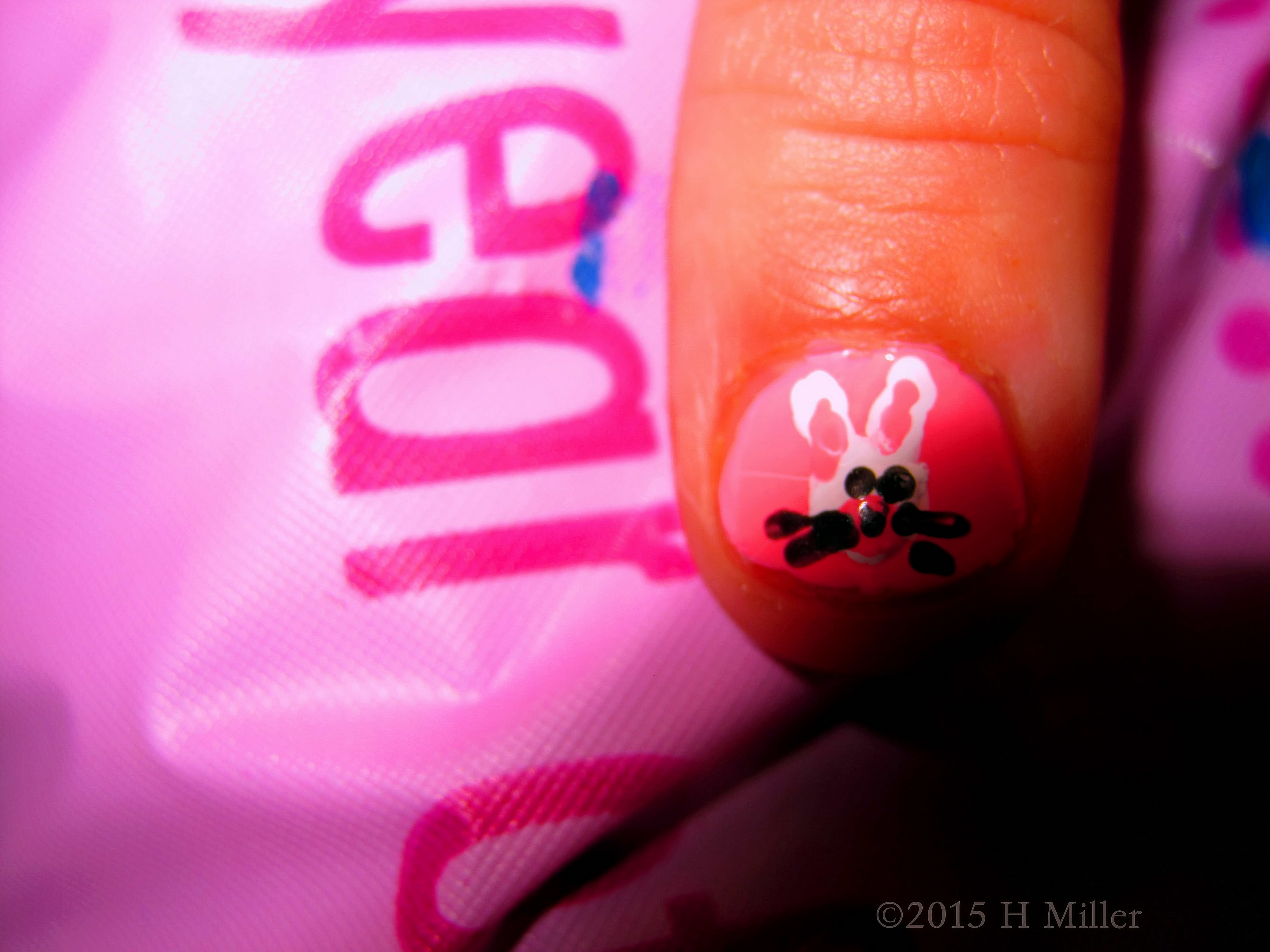 The Other Bunny Rabbit. The Other Bunny Rabbit.