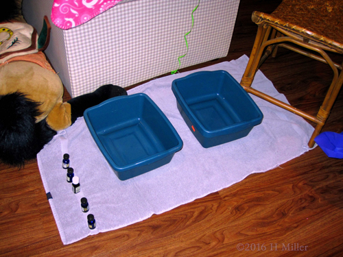 Pedicure Footbaths Set Up And Ready Pedicure Footbaths Set Up And Ready