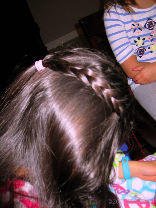 Heart Braid, Rear View. Heart Braid, Rear View.