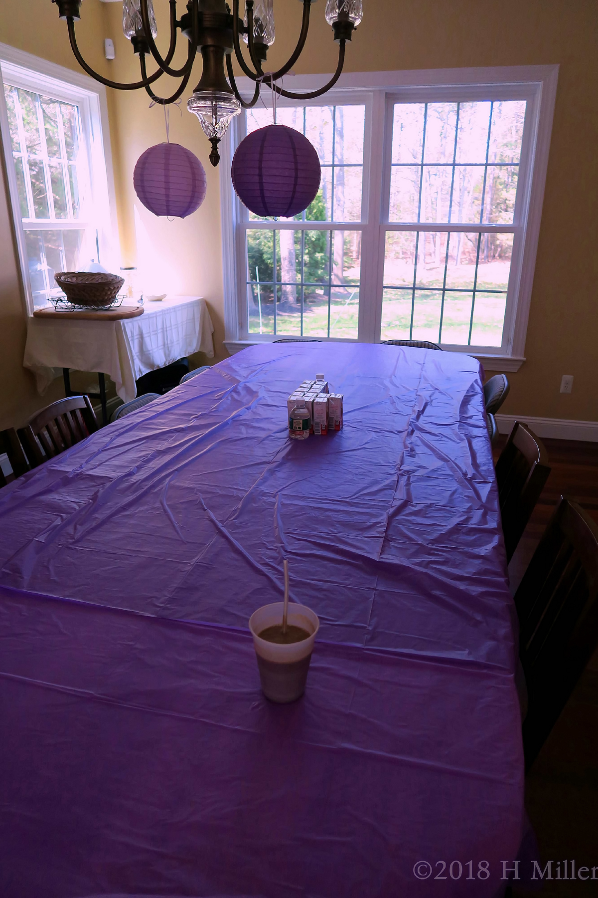 A Long View Of The Kids Spa Dining Room Area. 