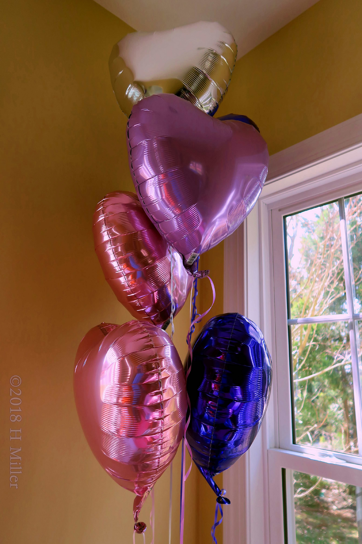 Totally Awesome Birthday Balloons! 