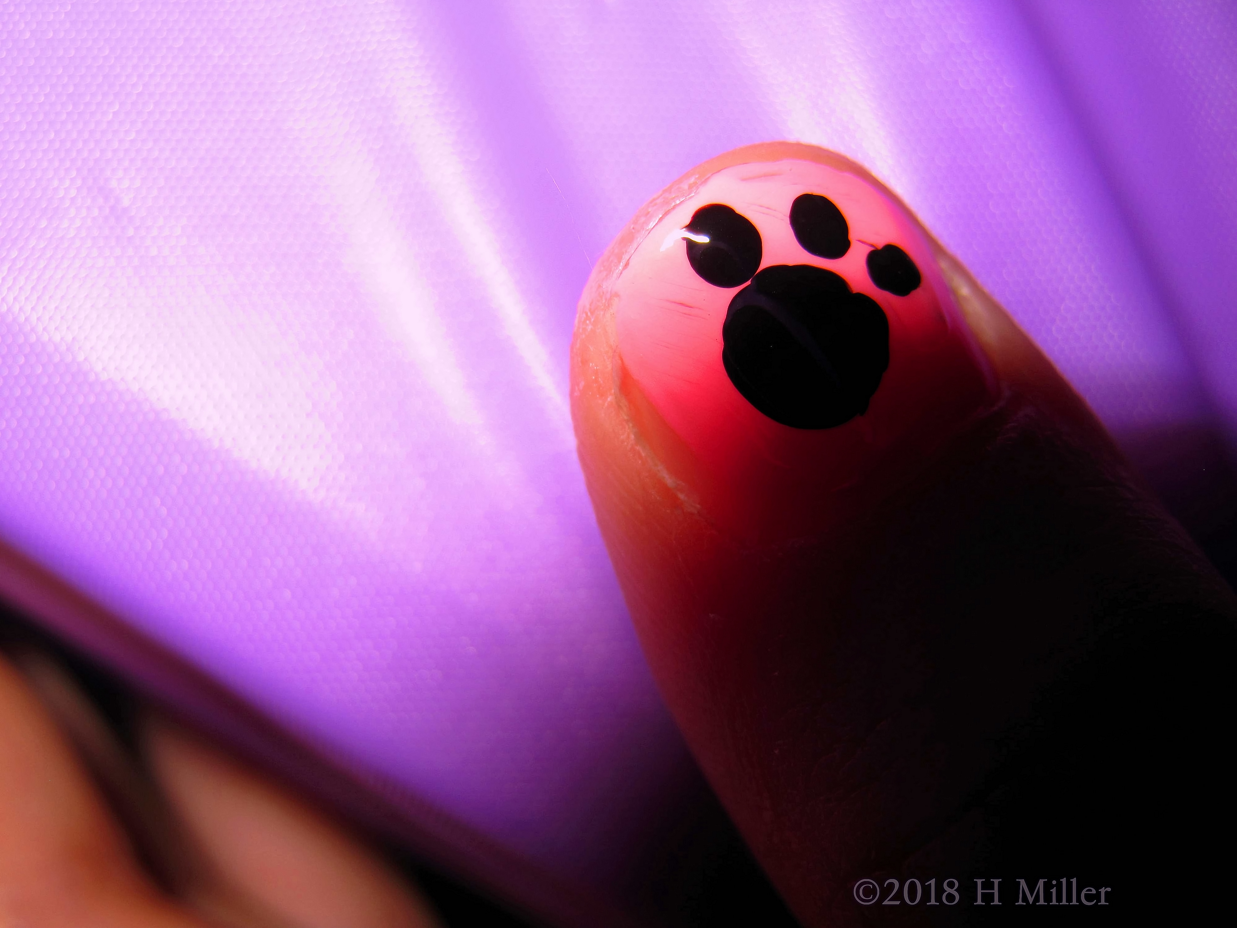 What A Super Cute Dog Paws Nail Design! What A Super Cute Dog Paws Nail Design!