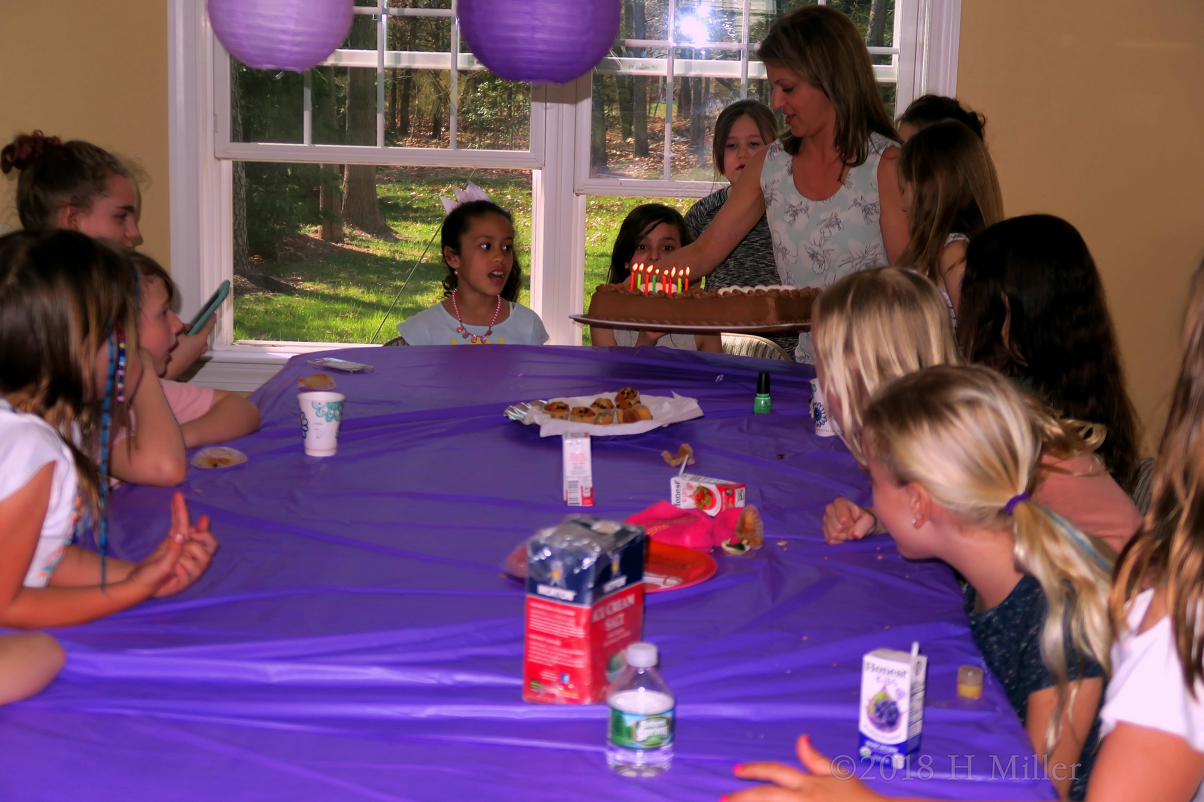 The Birthday Cake Has Arrived! The Birthday Cake Has Arrived!