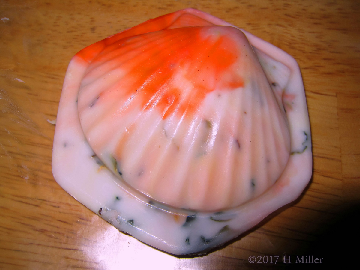 Shell Shaped Soap Kids Craft With A Hexagon Base. Check Out The Awesome Colors! 