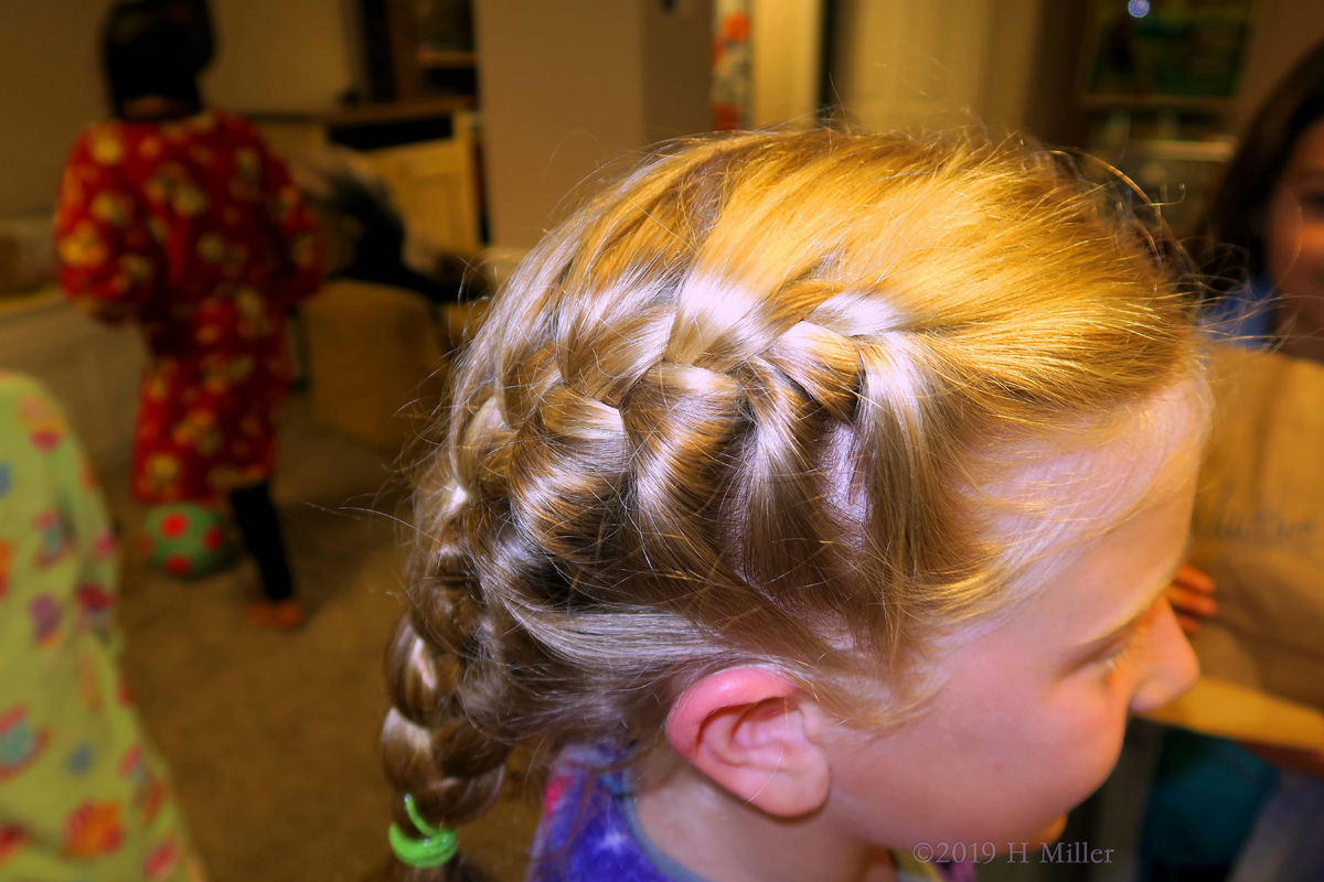 Side Of Frenchbraided Pigtails Girs Hairstyle 1