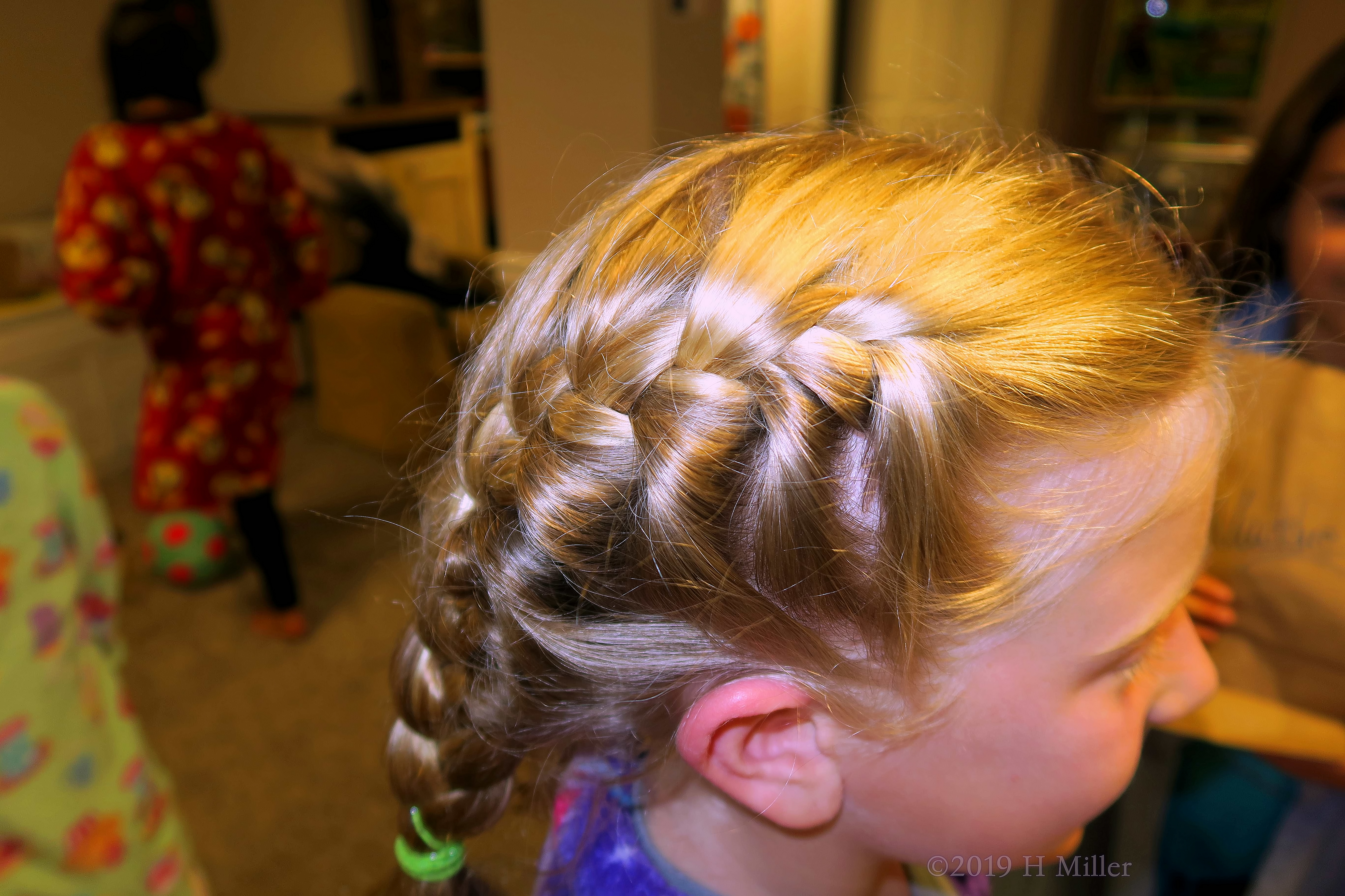 Side Of Frenchbraided Pigtails Girs Hairstyle 4