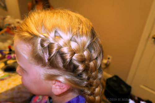 Close Up Of French Braided Pigtails Girls Hairstyle 