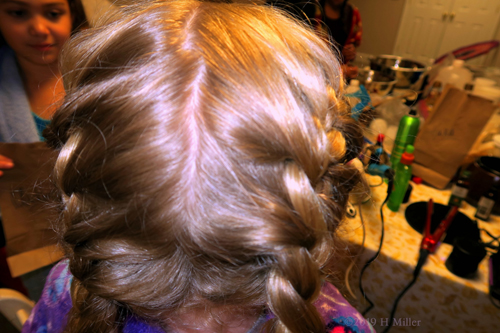 Close Up Of The French Pigtails Close Up Of The French Pigtails