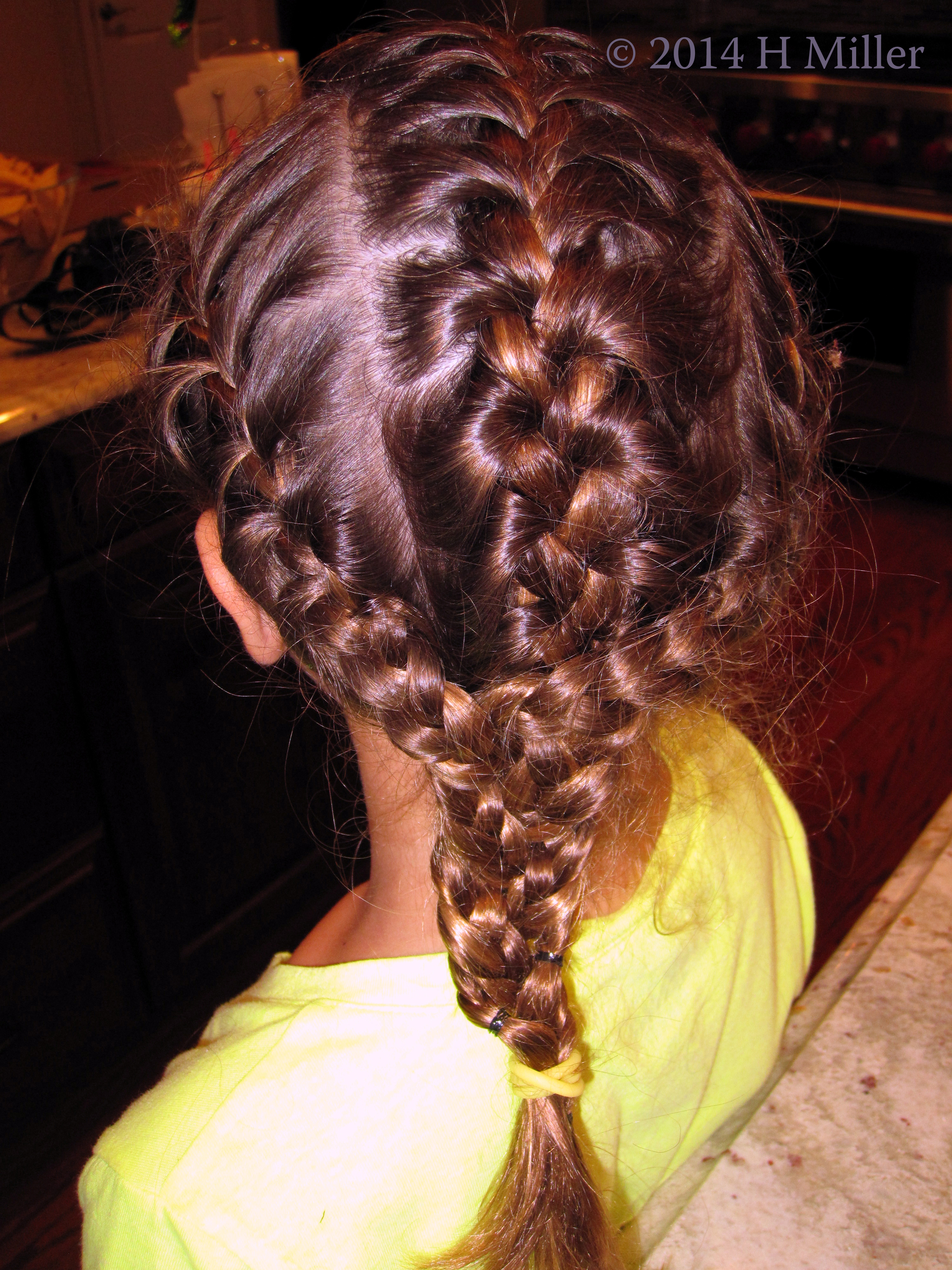 French PigTails Close Up Back View. French PigTails Close Up Back View.