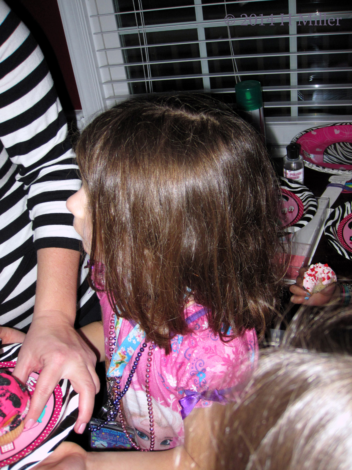 The Birthday Girl Ready To Blow Out Her Candle The Birthday Girl Ready To Blow Out Her Candle