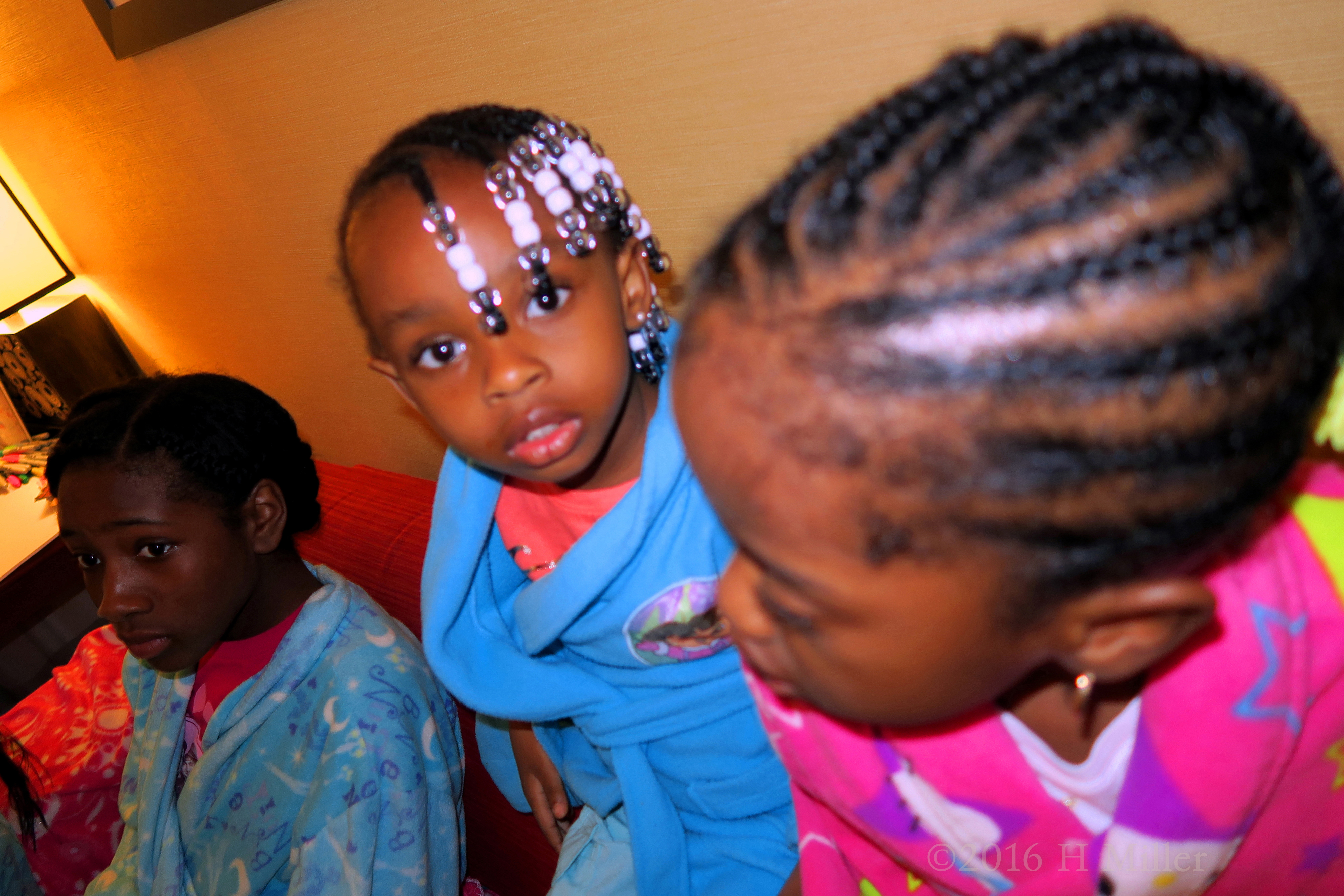 Pic Of One Of The Smaller Guests! Pic Of One Of The Smaller Guests!