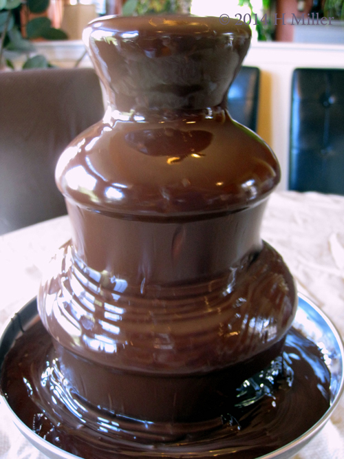 Chocolate Fountain Looking Quite Good