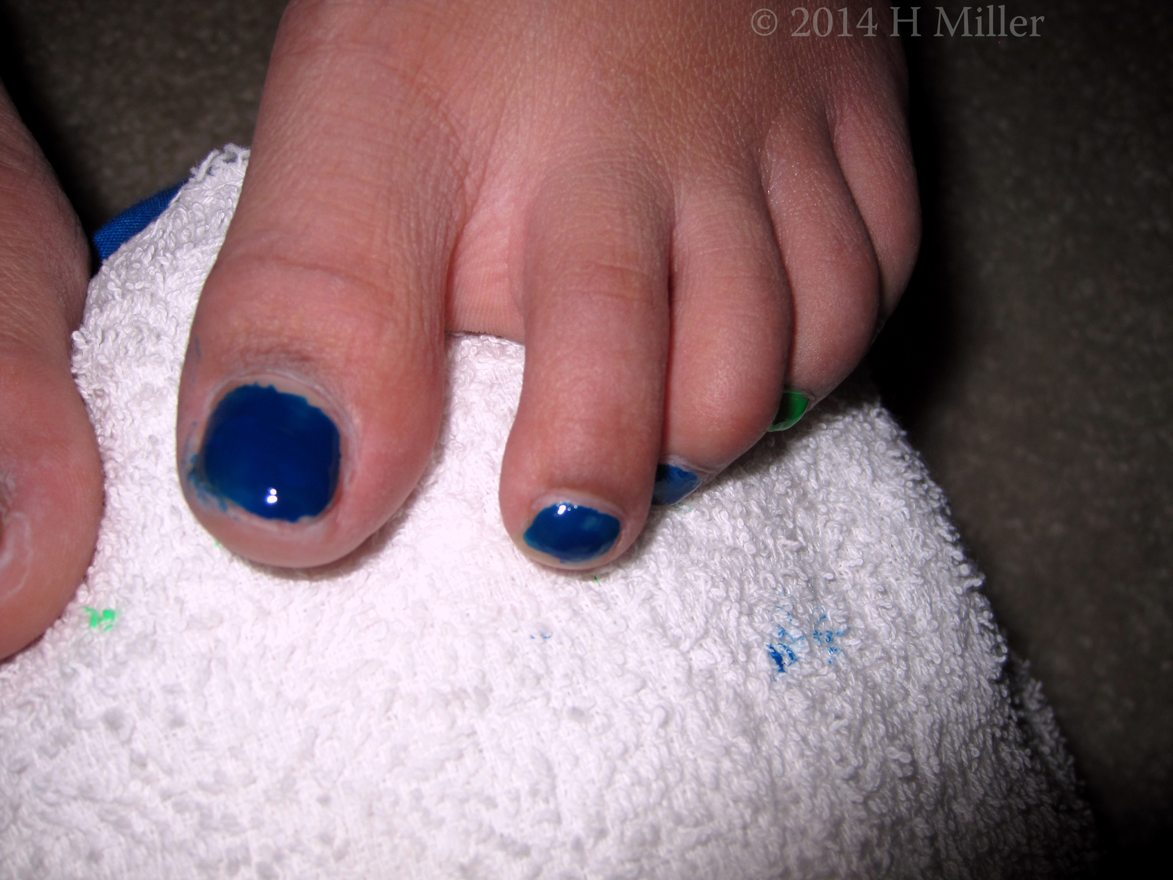 Close Up Of Midnite Blue Polish On Toenails. Close Up Of Midnite Blue Polish On Toenails.