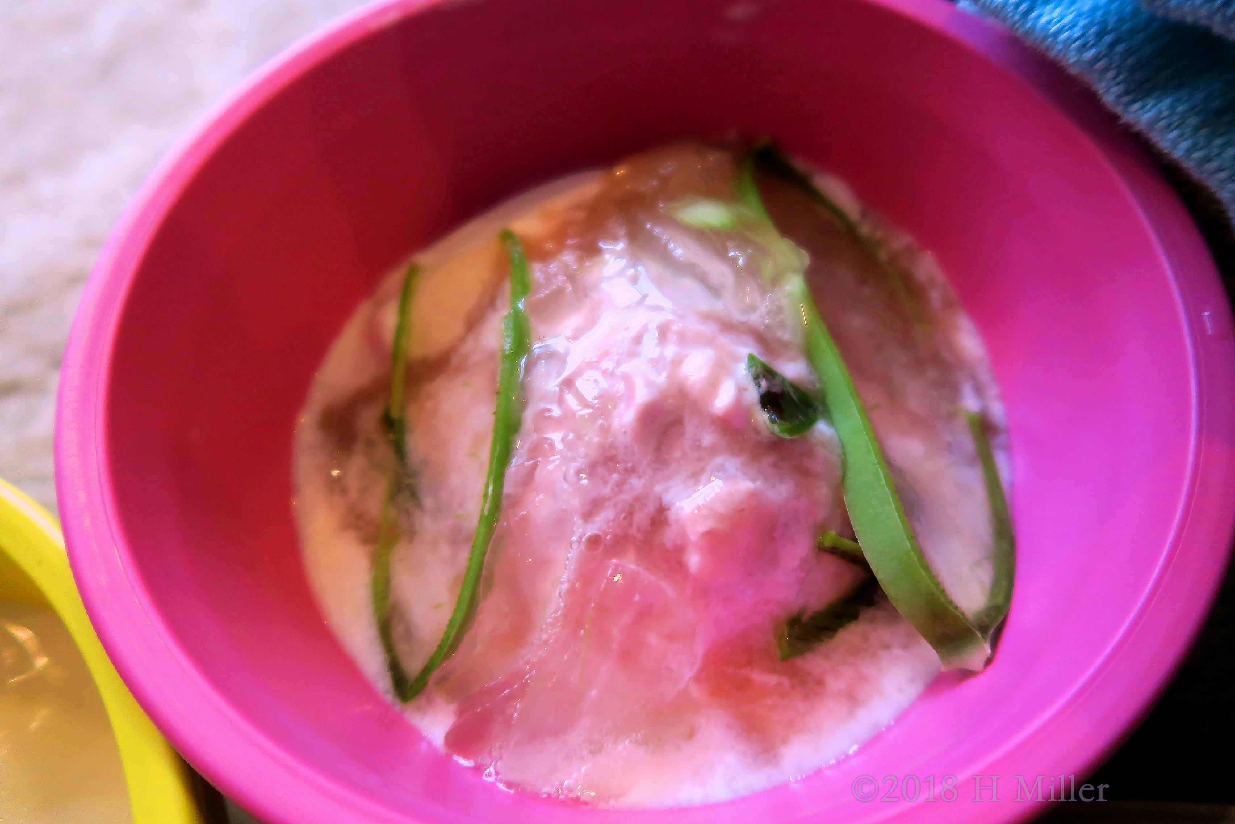 A Bowl Of Facial Masque Mixed With Aloe To Cool And Soothe The Skin. 