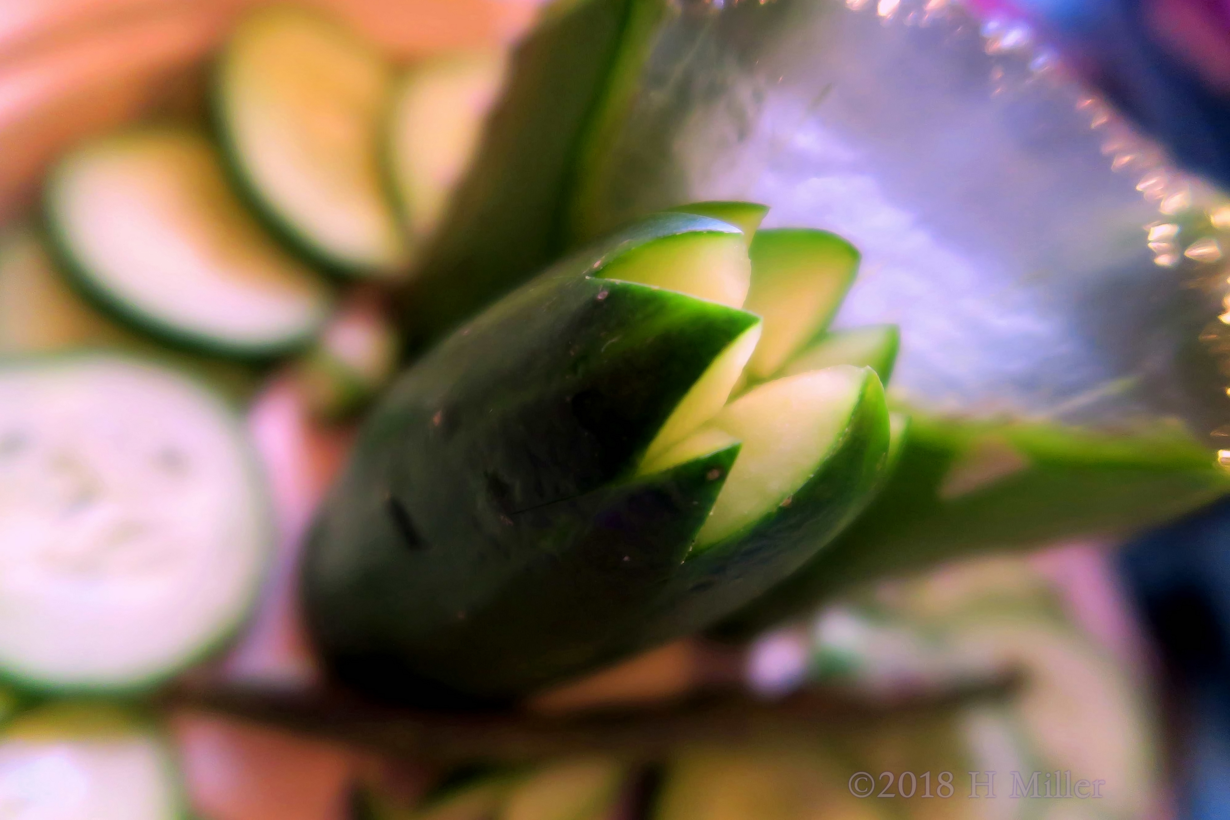 Decoratively Cut Cucumber With A Thick Slice Of Aloe Vera. Decoratively Cut Cucumber With A Thick Slice Of Aloe Vera.