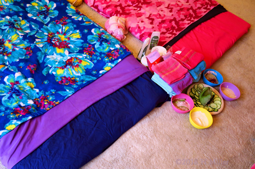 All Ingredients Are Arranged To Begin With The Kids Facial Activity! All Ingredients Are Arranged To Begin With The Kids Facial Activity!