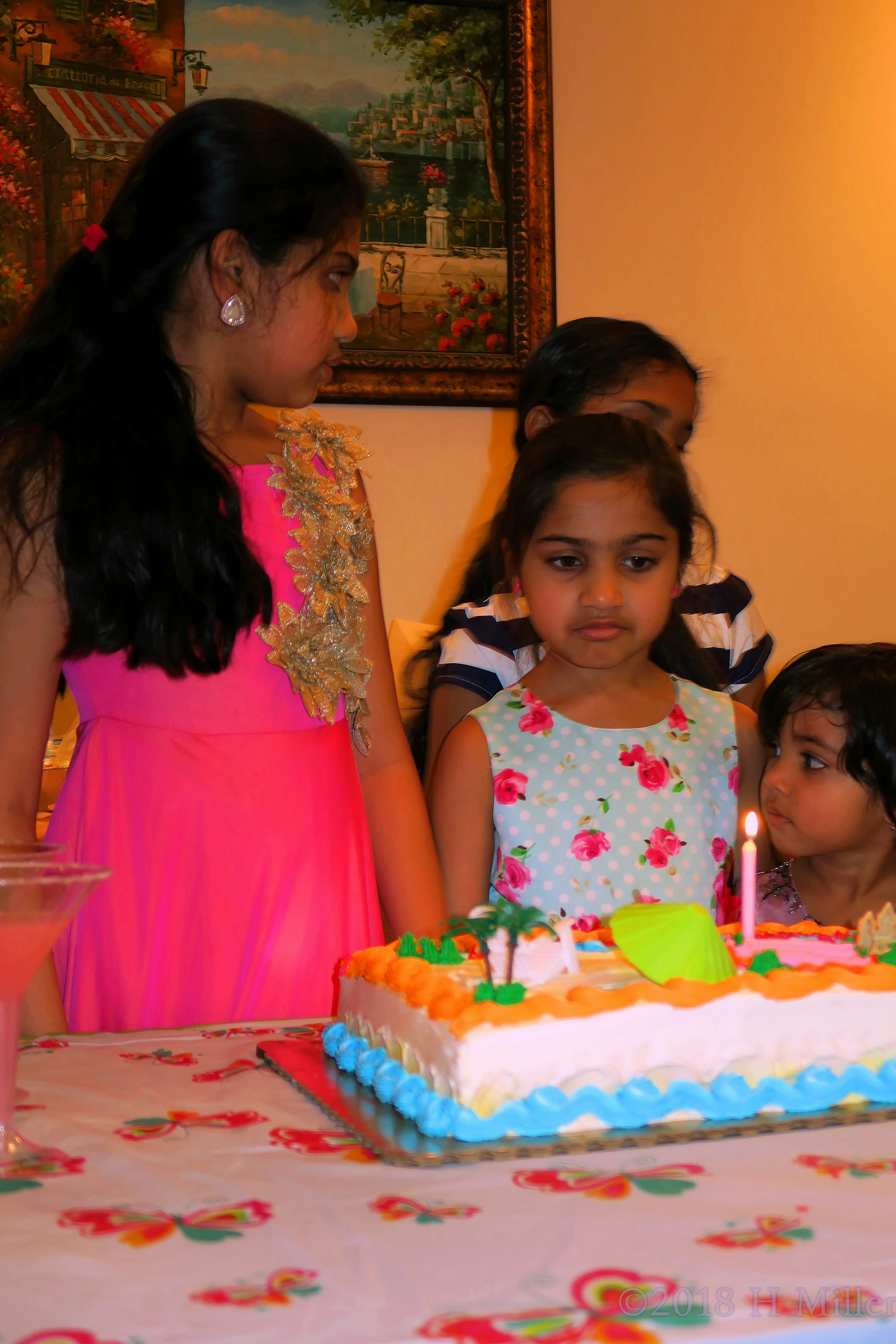 Beautifully Captured Birthday Cake And Birthday Girl! 