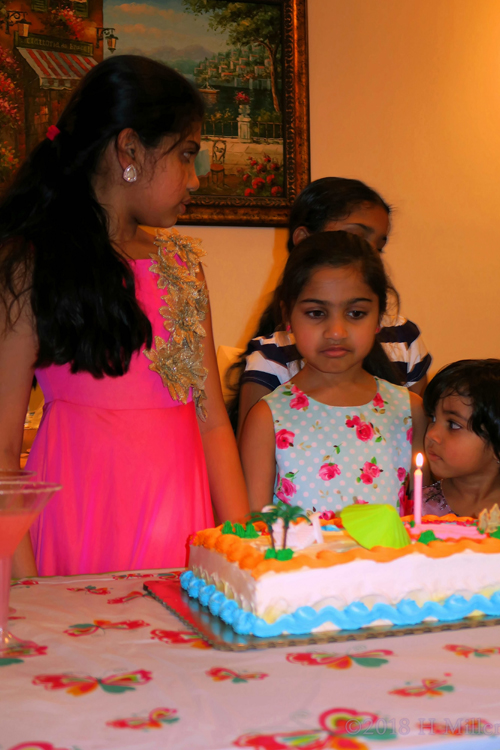 Beautifully Captured Birthday Cake And Birthday Girl!