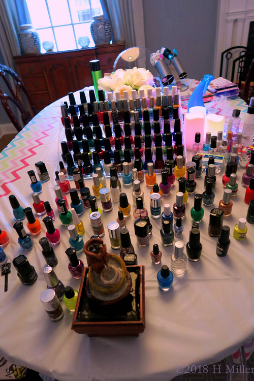 Diverse Collection Of Nail Polish Colors For The Kids Spa Party!