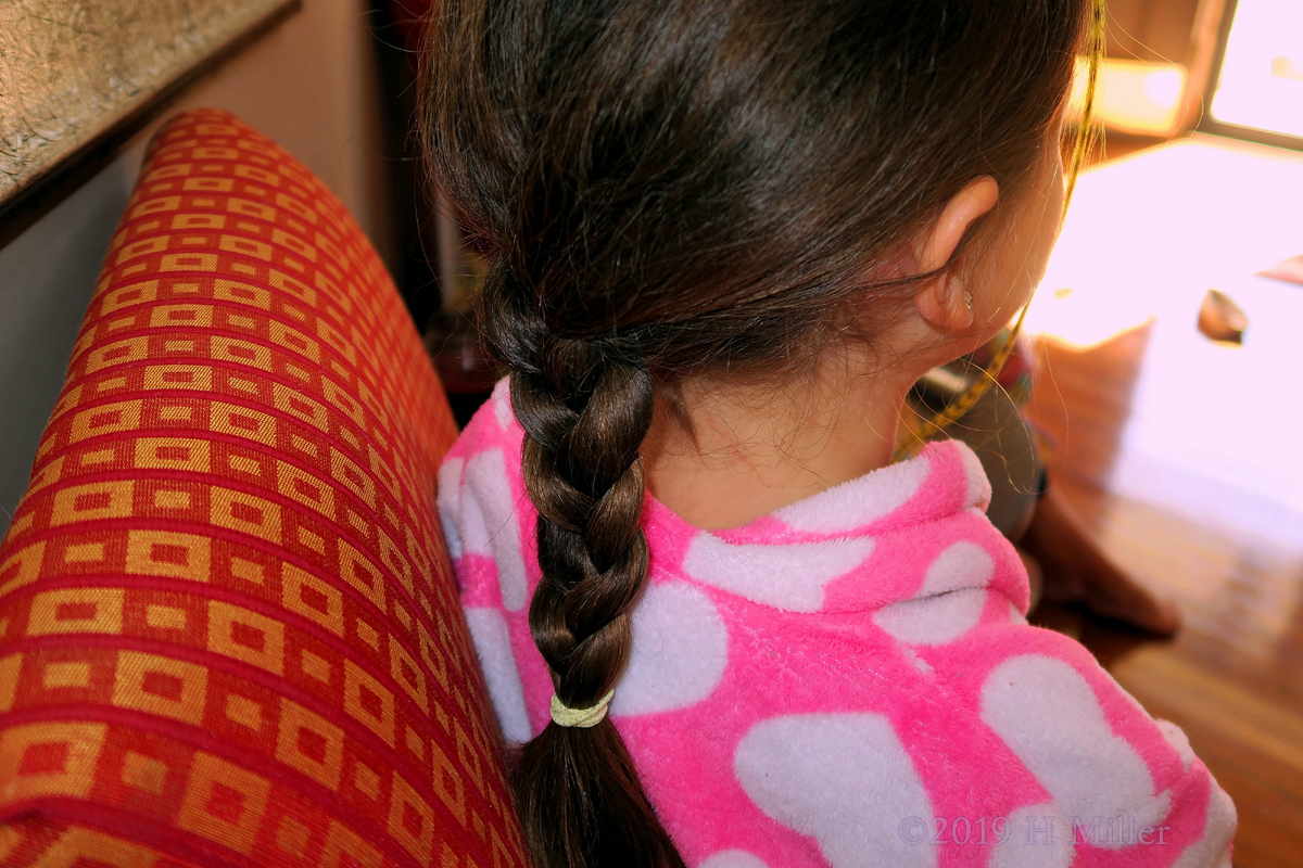 Back Of Braids! Braided Girls Hairstyle On Spa Party Guest! 1