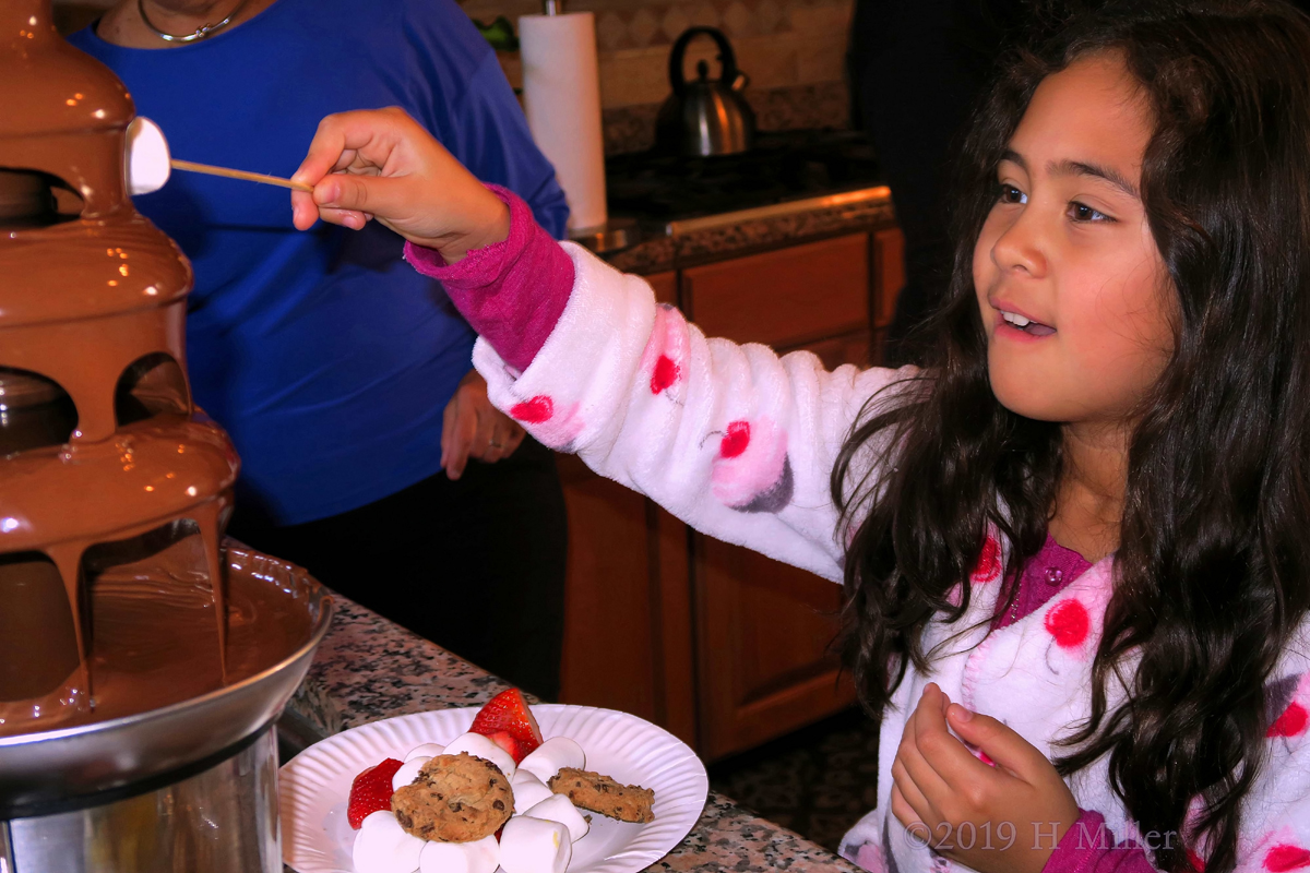 Chocolate Fountain Smores! Party Guests Use The Chocolate Fountain! Chocolate Fountain Smores! Party Guests Use The Chocolate Fountain!