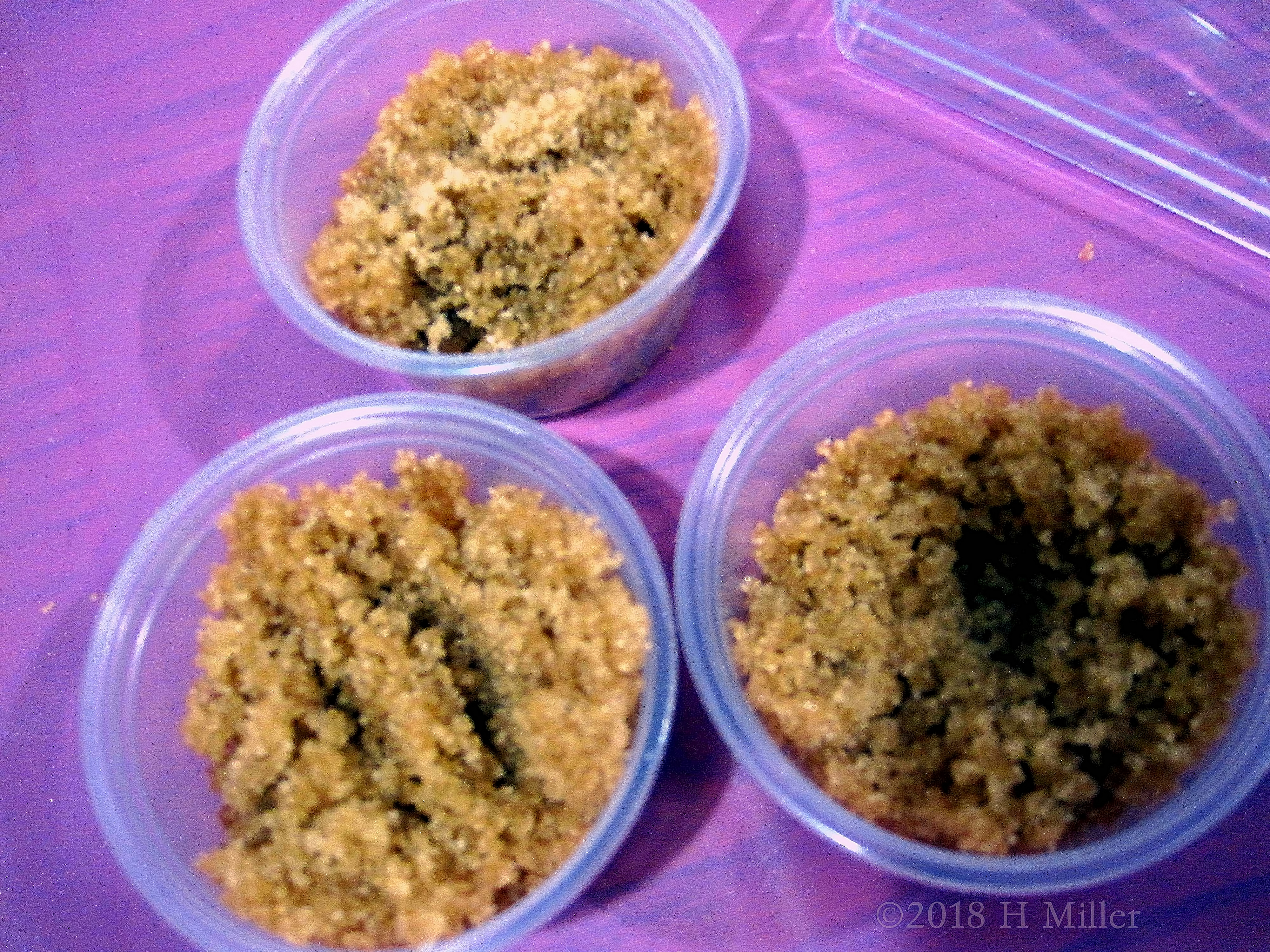 Brown Sugar Is A Natural Scrub And Good For The Skin. This Kids Craft Is Super Fantastic! 
