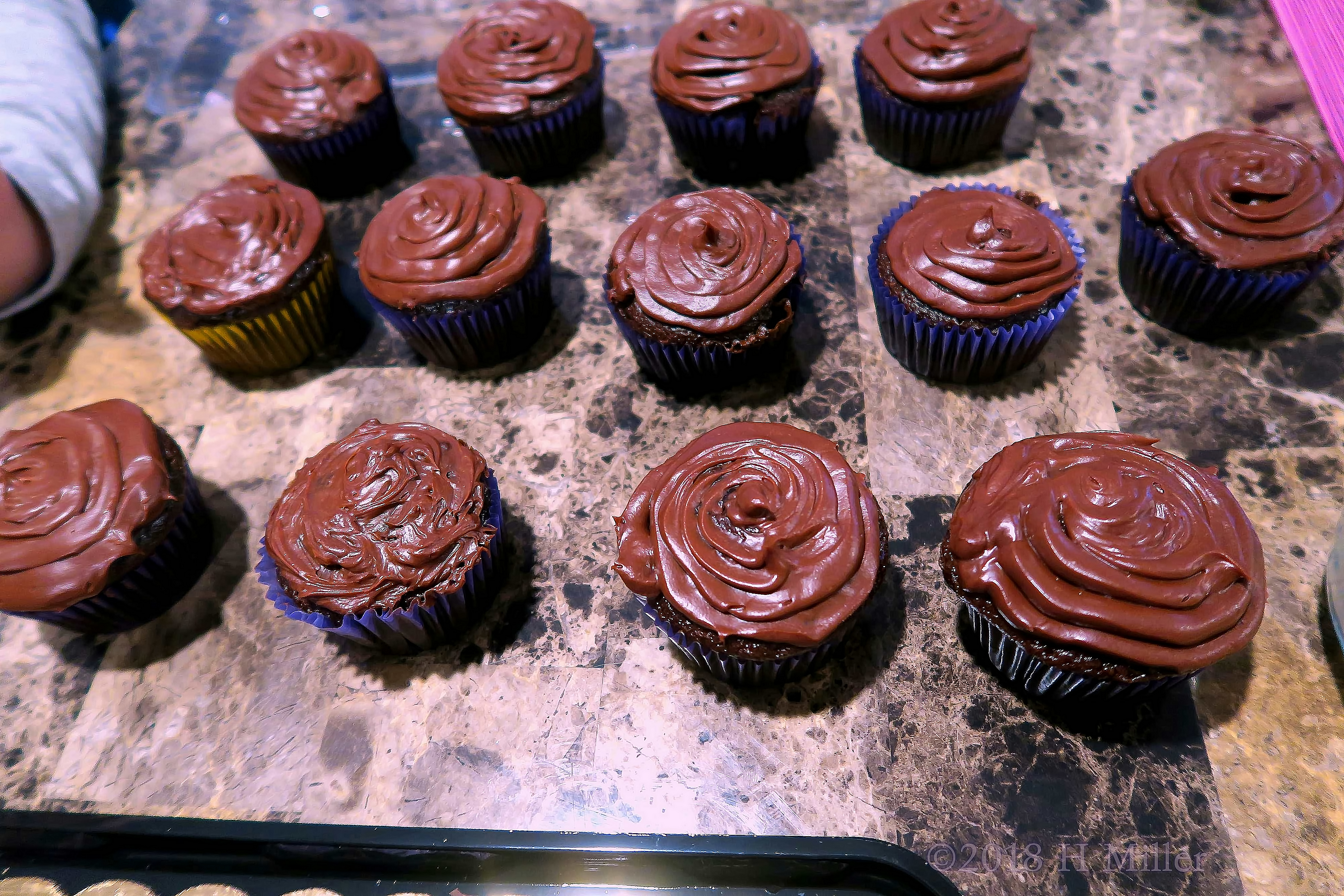 The Chocolate Cupcakes Look Delicious! The Chocolate Cupcakes Look Delicious!
