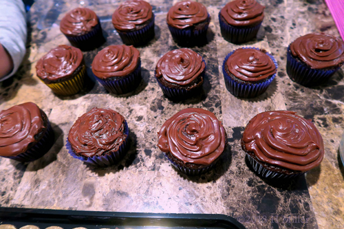 The Chocolate Cupcakes Look Delicious!