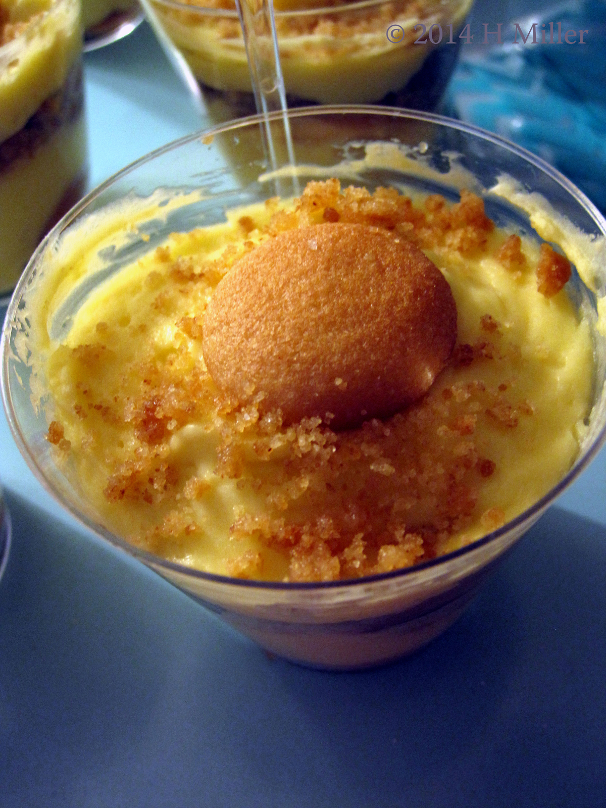 Fiona's Mom's Homemeade Treats Top View Fiona's Mom's Homemeade Treats Top View