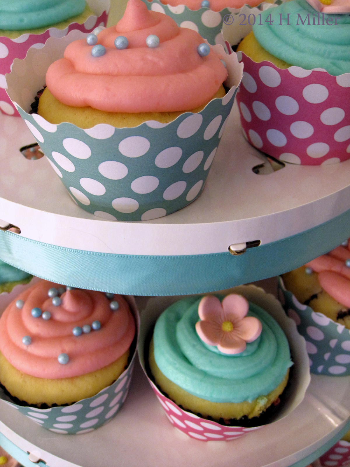 Pink And Cyan Cupcakes Close Up 