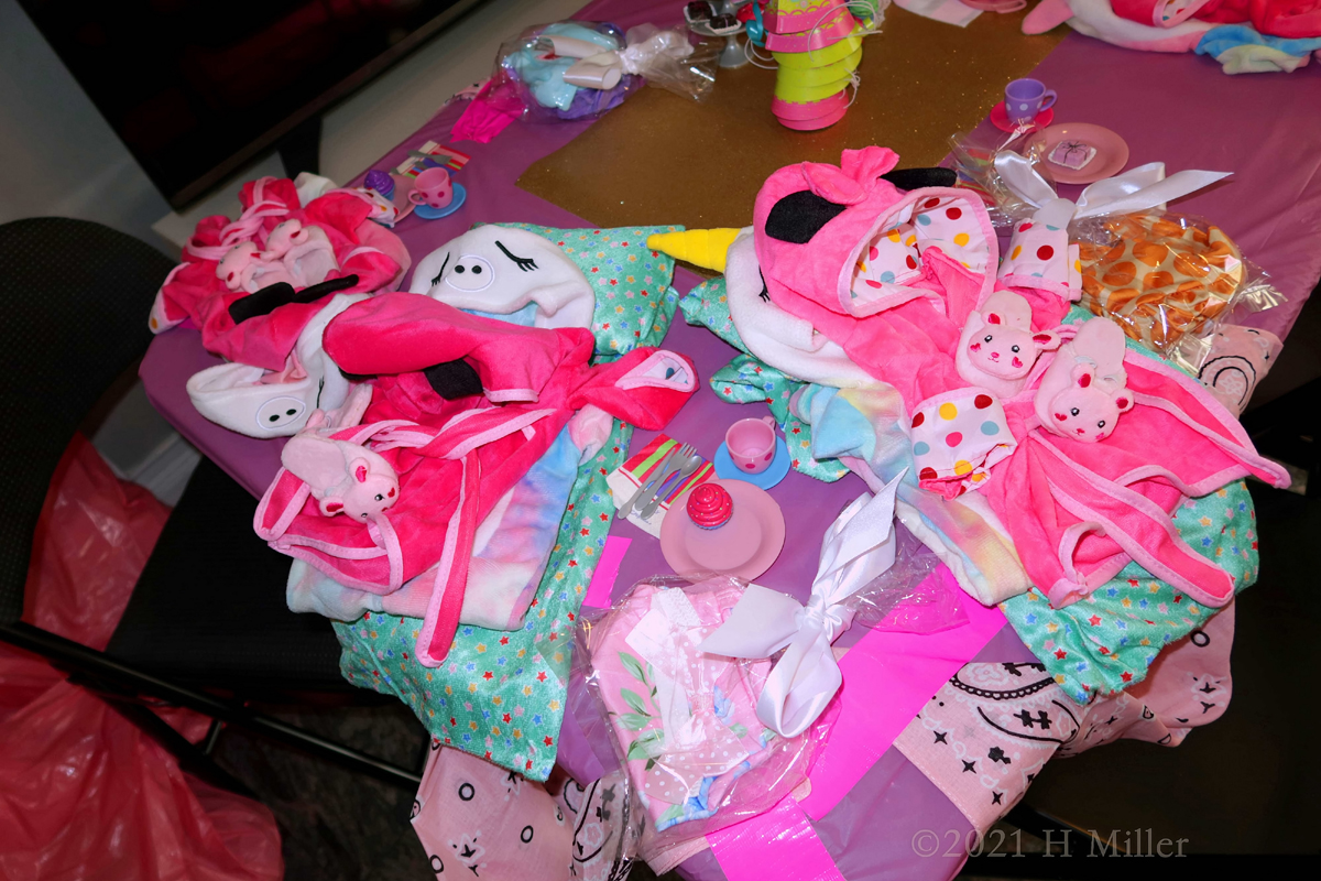 Gabriella's 7th Spa Birthday Party For Girls 