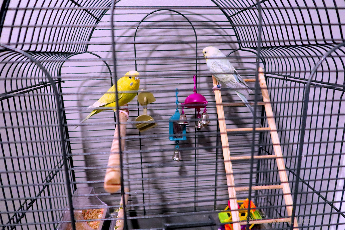 Gabriella's 7th Spa Birthday Party For Girls 1