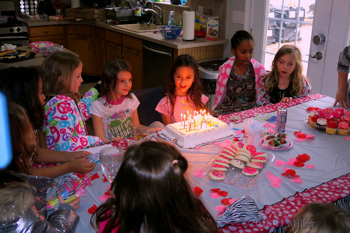 Candles, Cookies, And Cupcakes! Party Guests Gathered Around The Birthday Cake! 