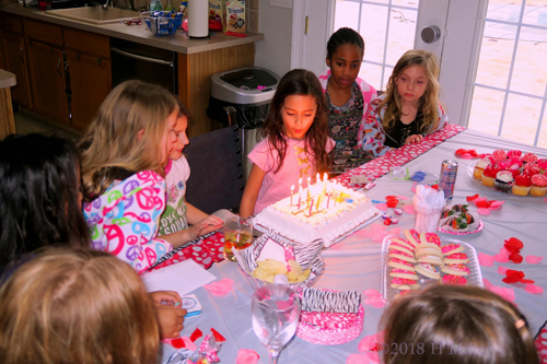 Make A Wish! Candles Getting Blown Out By The Birthday Girl! Make A Wish! Candles Getting Blown Out By The Birthday Girl!