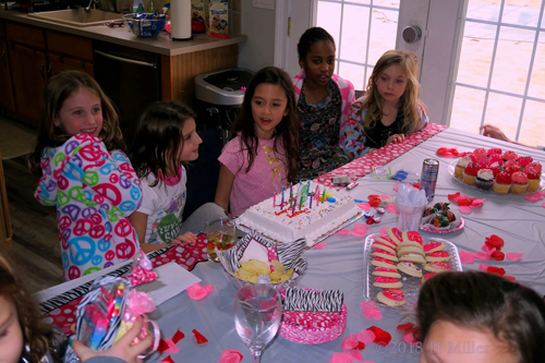 May Your Wish Come True! Happy 8th Birthday! May Your Wish Come True! Happy 8th Birthday!