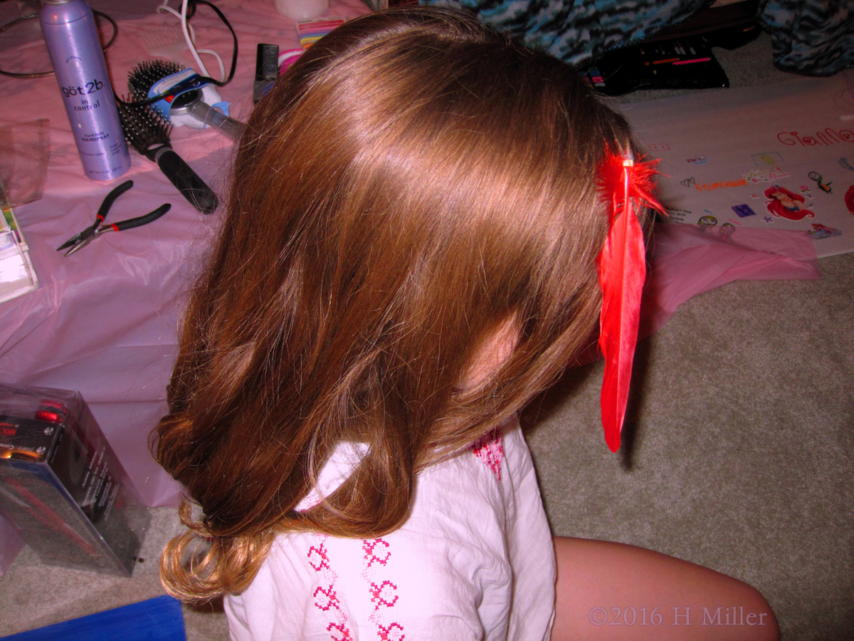 What A Cool Hair Feather! 