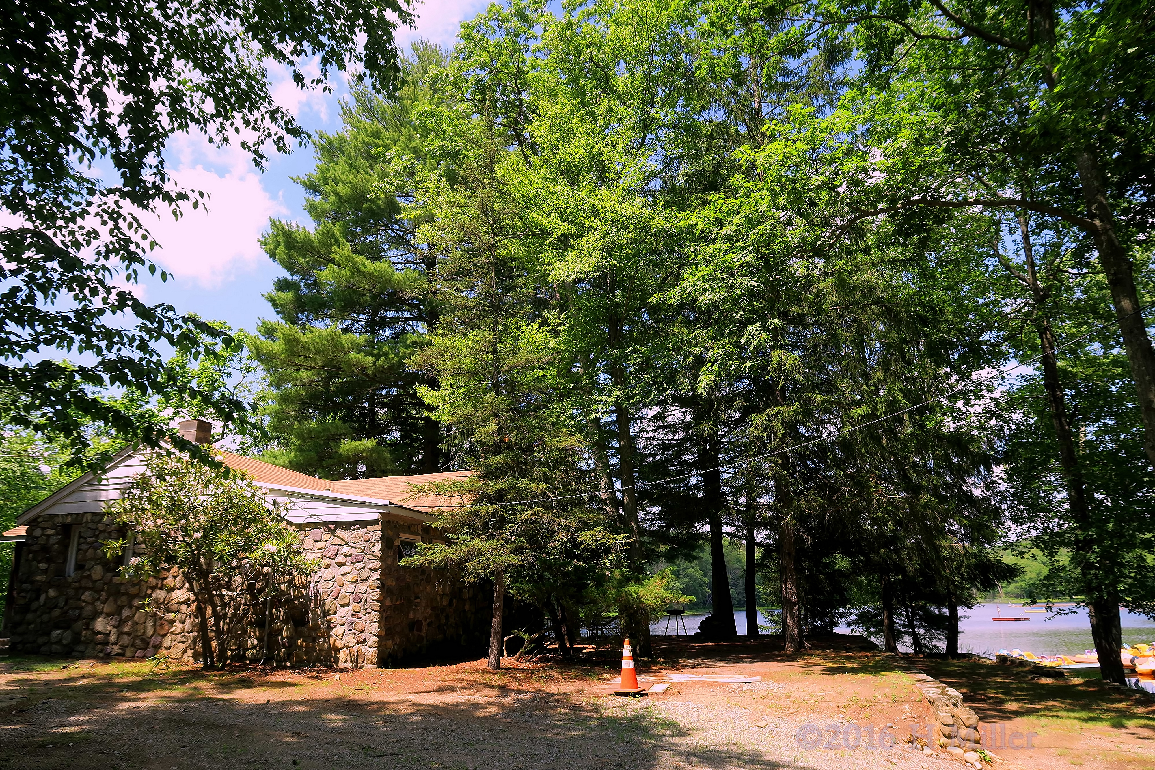 Beautiful Green Camp Rickabear Beautiful Green Camp Rickabear