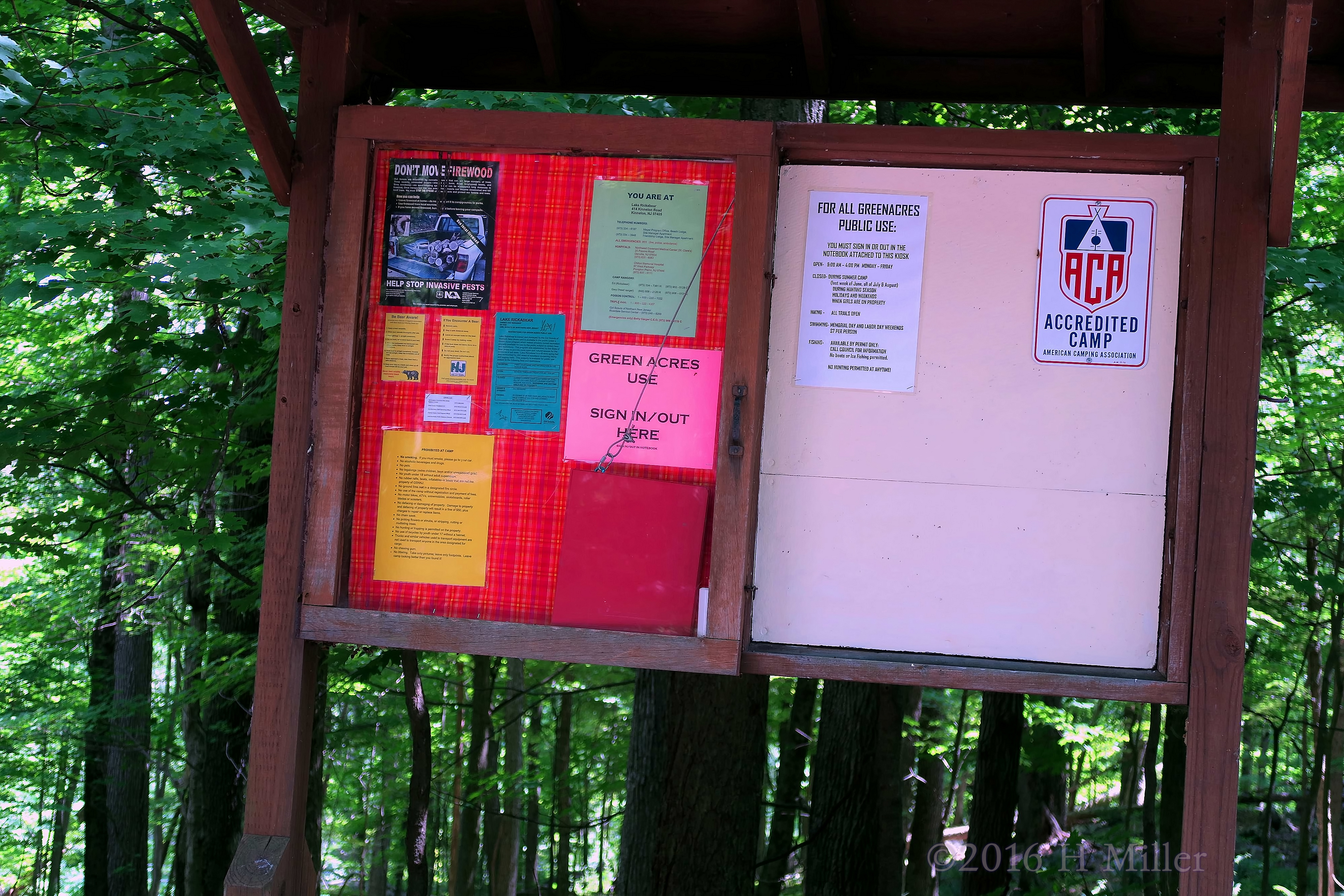 Camp Rickabear's Bulletin Board 