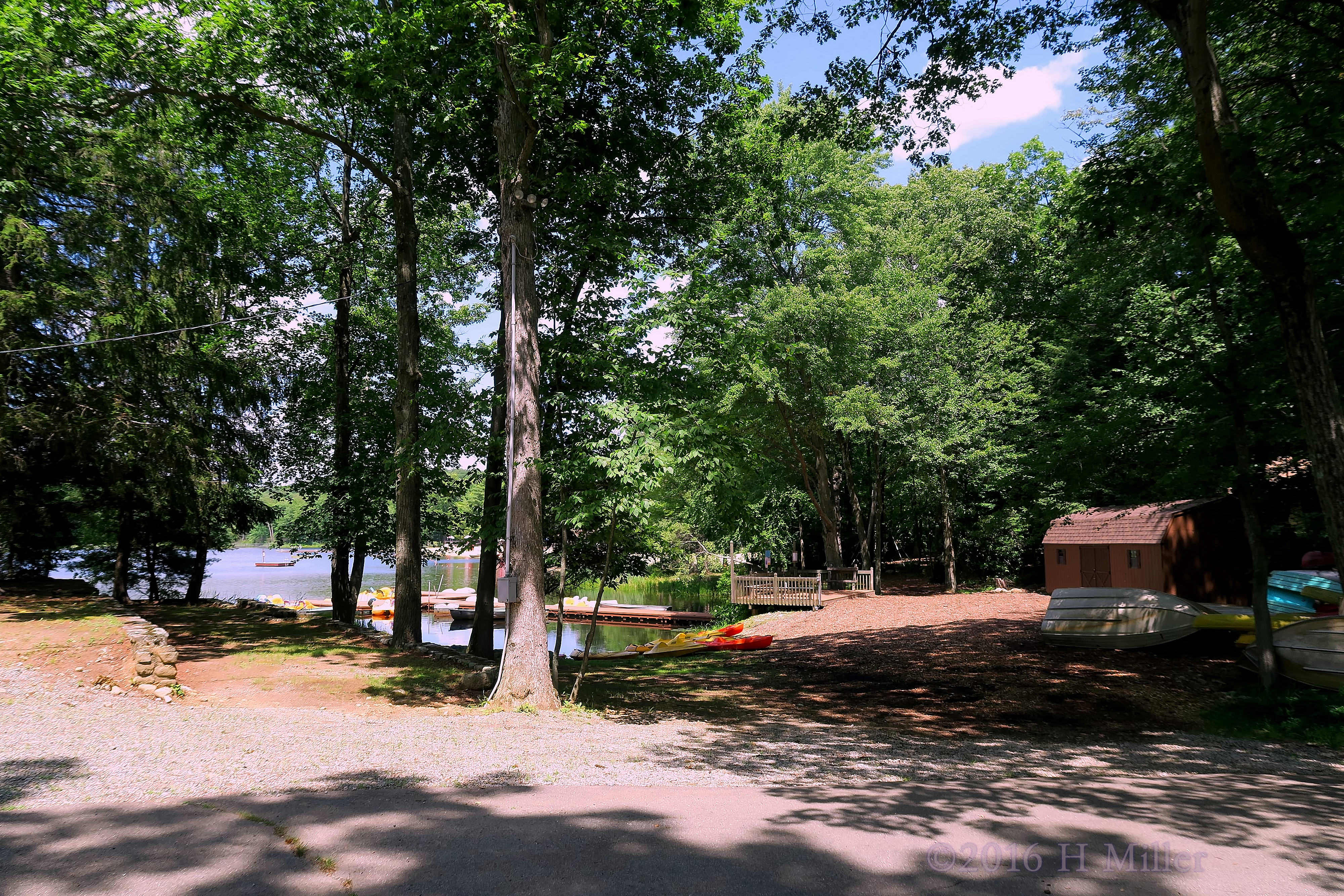 Camp Rickabear Is Beautiful. Camp Rickabear Is Beautiful.