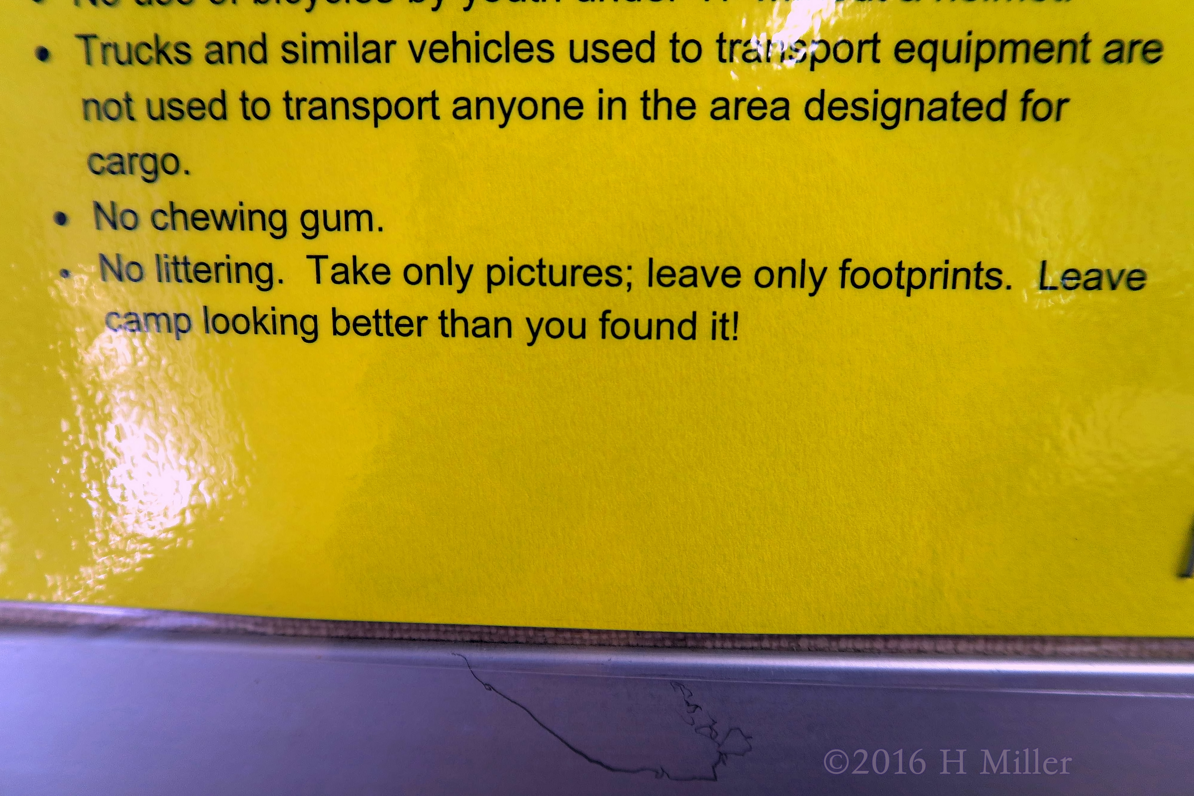 Checking The Camp Rickabear Rules Checking The Camp Rickabear Rules