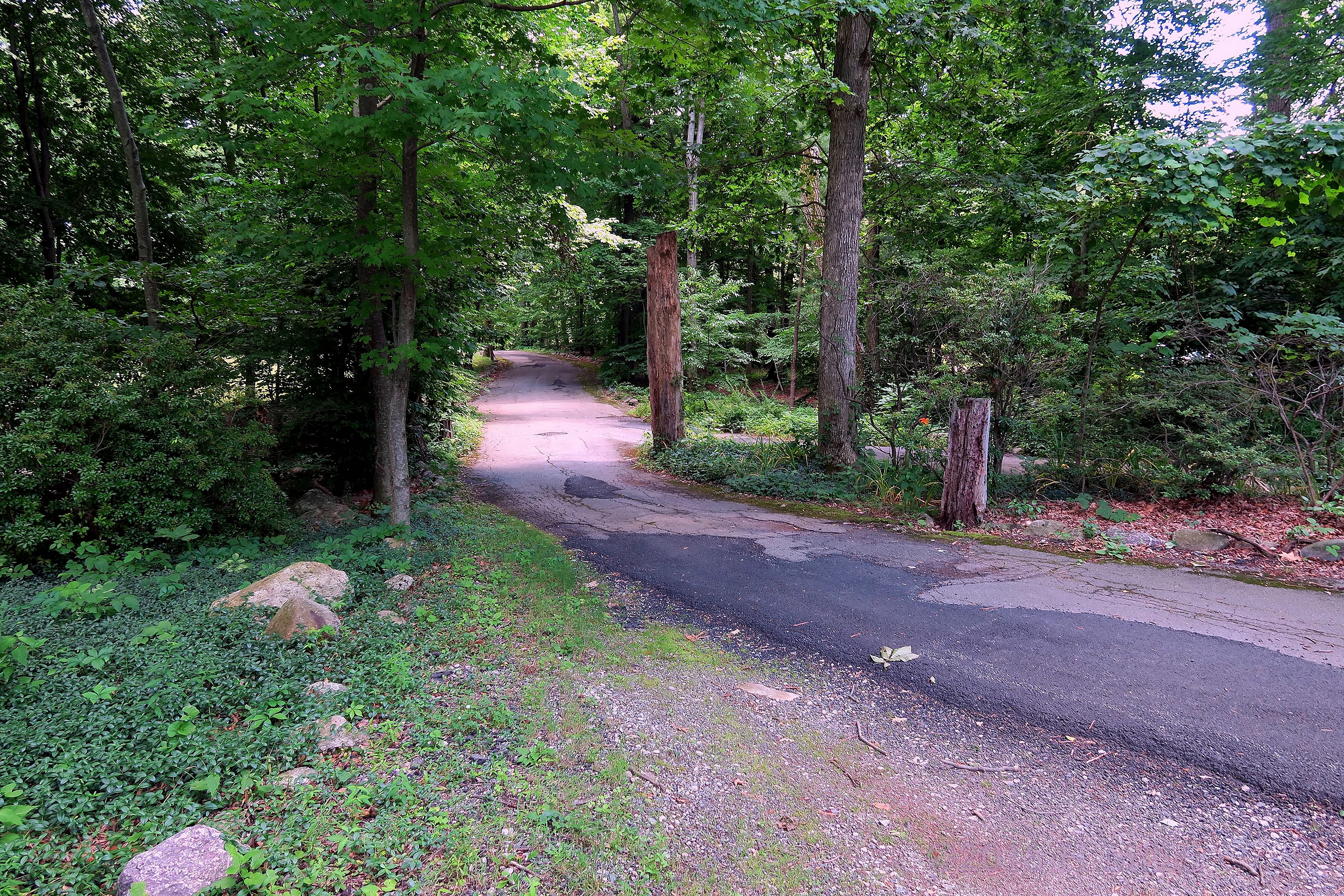 The Road To Camp Rickabear The Road To Camp Rickabear