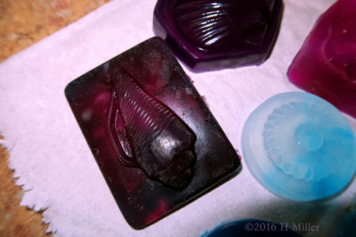 Dark Purple Seashell Mold Dark Purple Seashell Mold