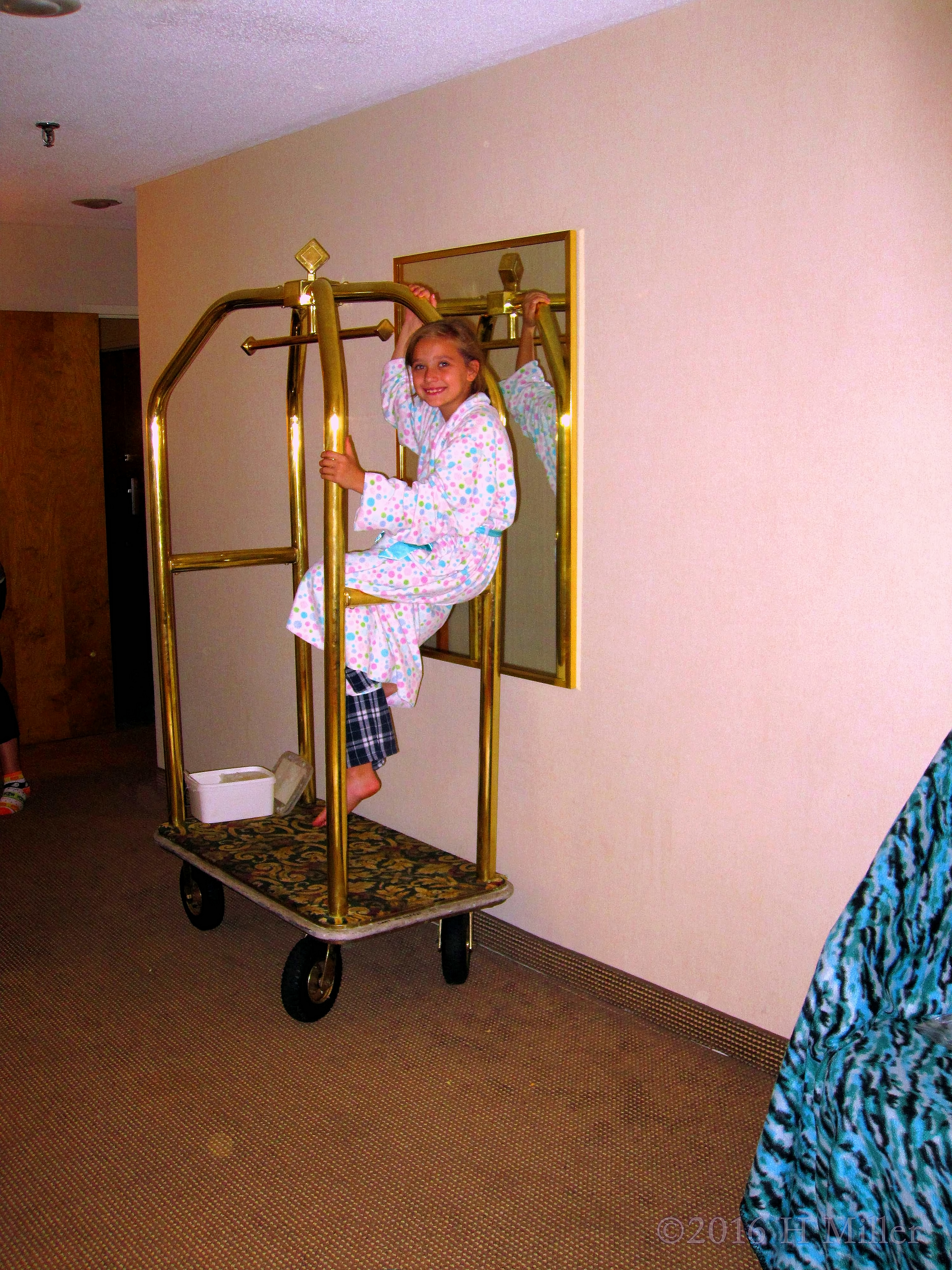 Chilling Out On The Hotel Luggage Cart Chilling Out On The Hotel Luggage Cart