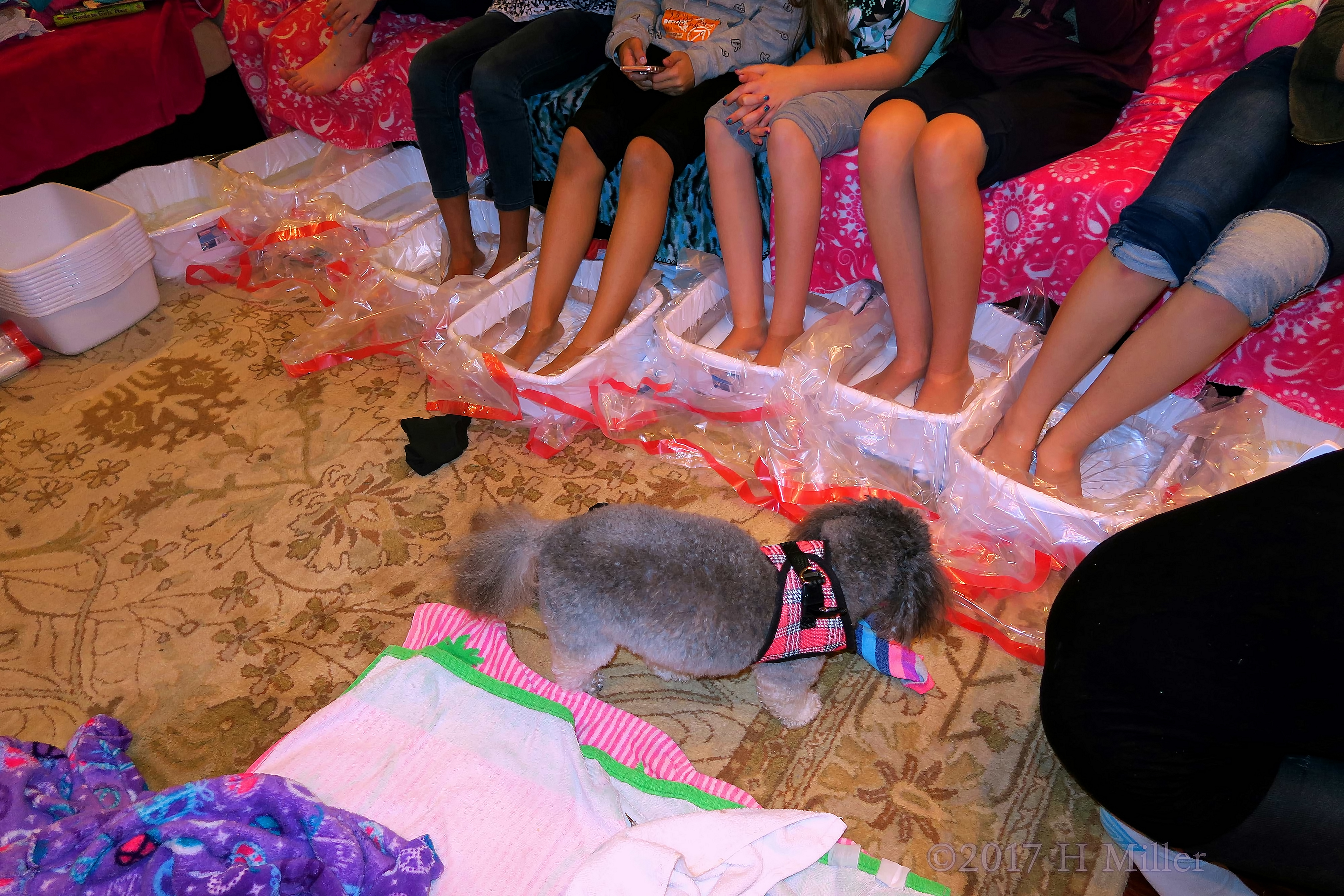 Isabella's In Home Spa Party For Girls In New Jersey January 2017 Gallery 2 Isabella's In Home Spa Party For Girls In New Jersey January 2017 Gallery 2