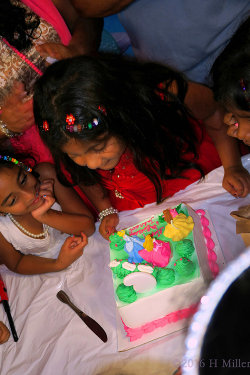 Make A Wish! Make A Wish!