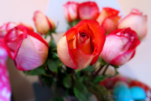 Beautiful Roses For The Birthday Girl Beautiful Roses For The Birthday Girl