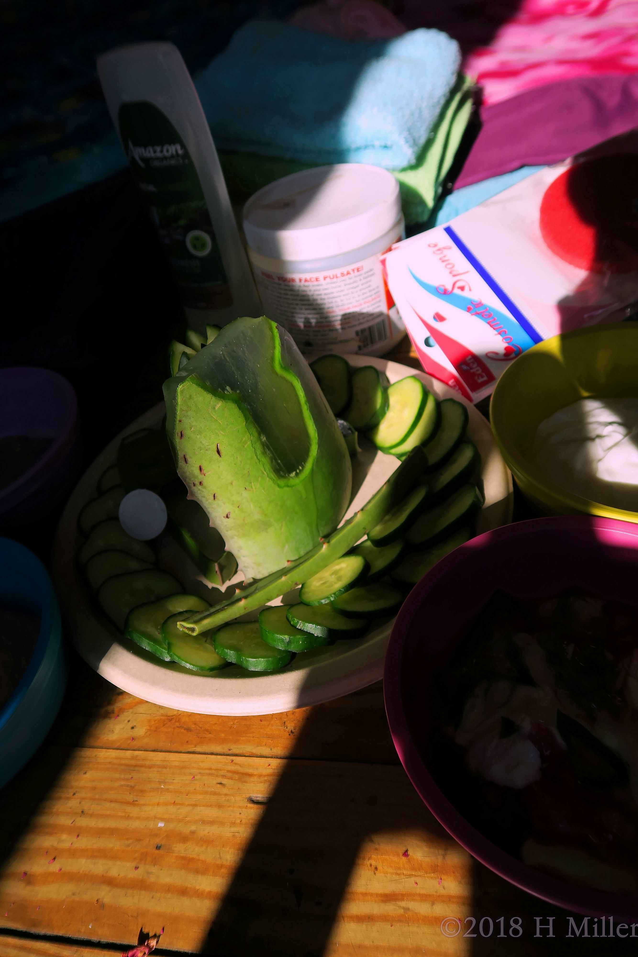 Vera Of Aloe And Cukes On The Tray For Kids Facials! Vera Of Aloe And Cukes On The Tray For Kids Facials!