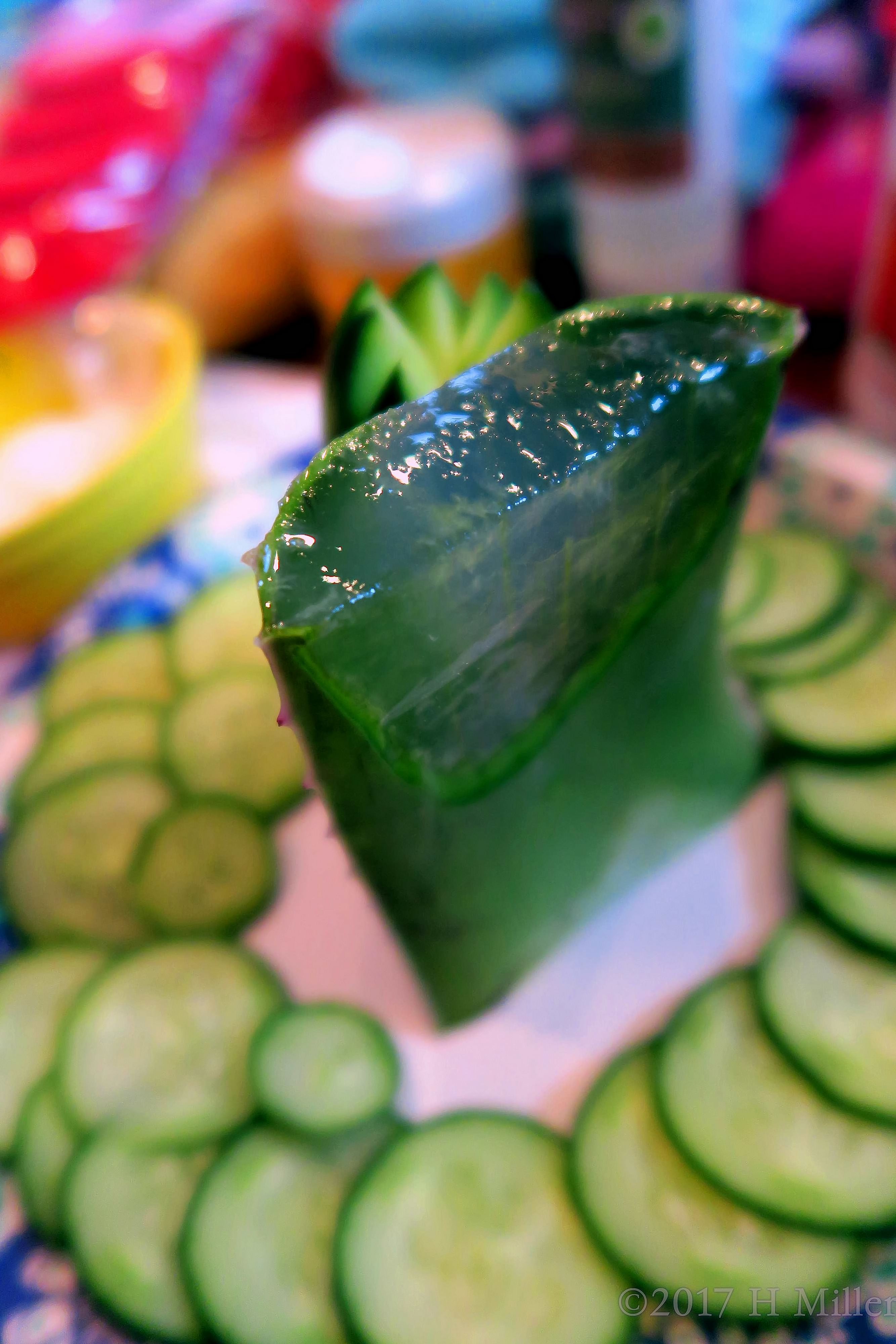 Aloe Vera And Cukes For Girls Facials! Aloe Vera And Cukes For Girls Facials!